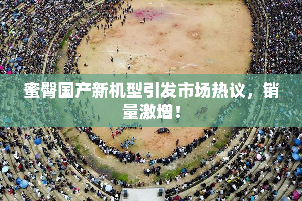 蜜臀国产新机型引发市场热议，销量激增！