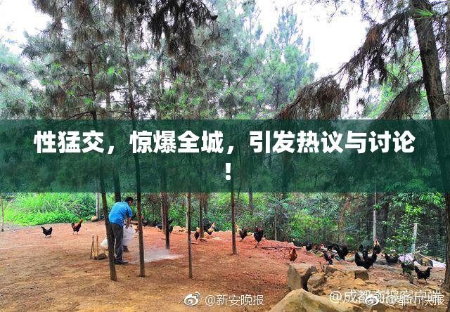 性猛交，惊爆全城，引发热议与讨论！