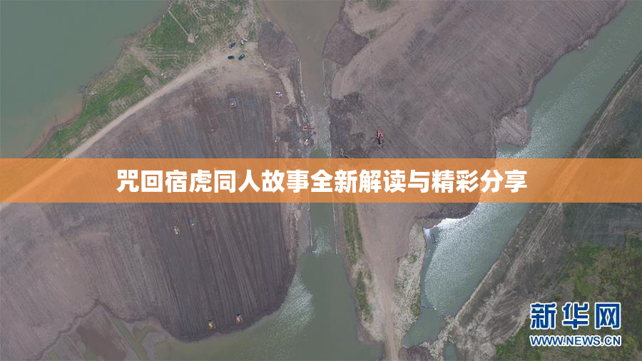 咒回宿虎同人故事全新解读与精彩分享