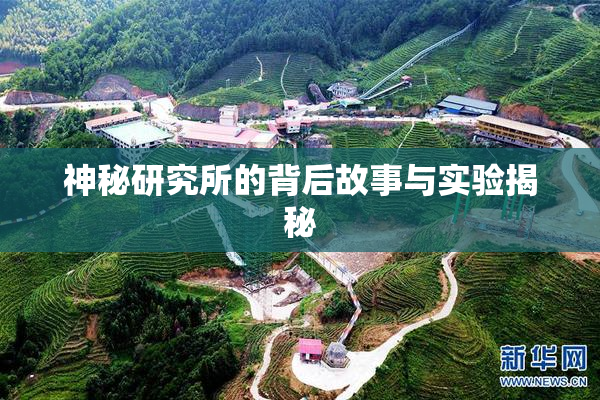 神秘研究所的背后故事与实验揭秘