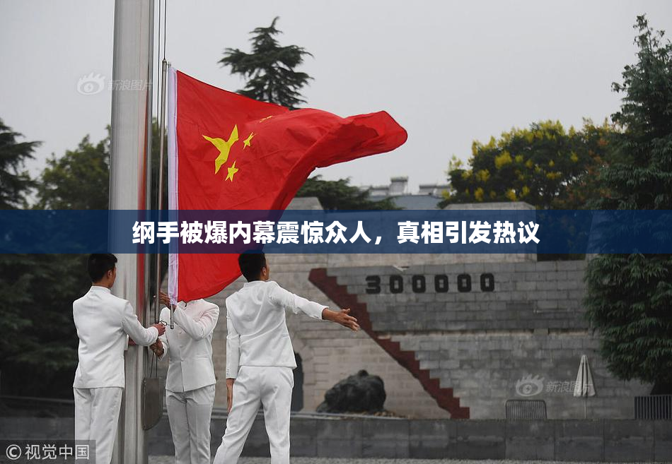 纲手被爆内幕震惊众人，真相引发热议