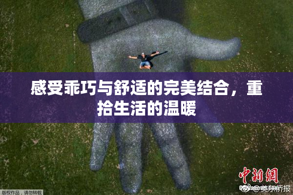 感受乖巧与舒适的完美结合，重拾生活的温暖