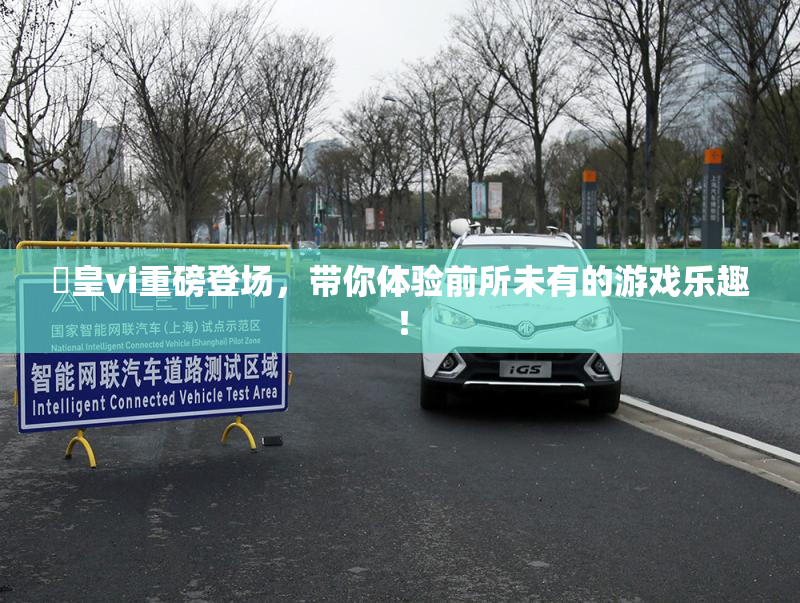 嘼皇vi重磅登场，带你体验前所未有的游戏乐趣！