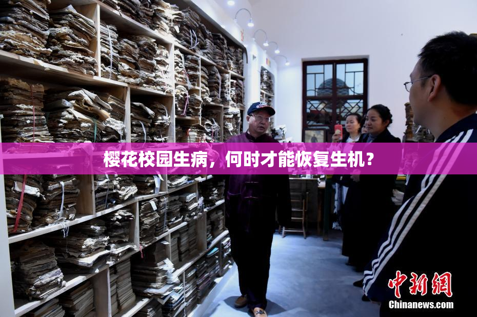 樱花校园生病，何时才能恢复生机？