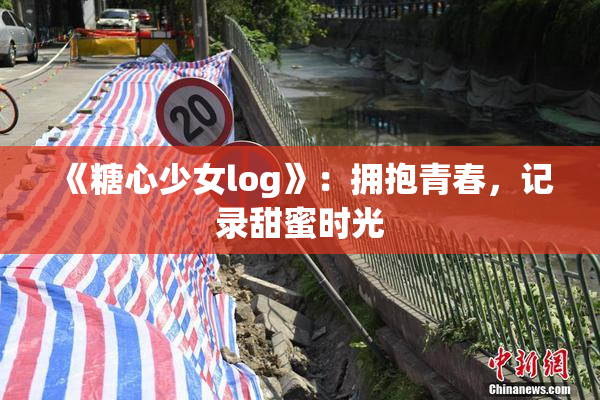 《糖心少女log》：拥抱青春，记录甜蜜时光