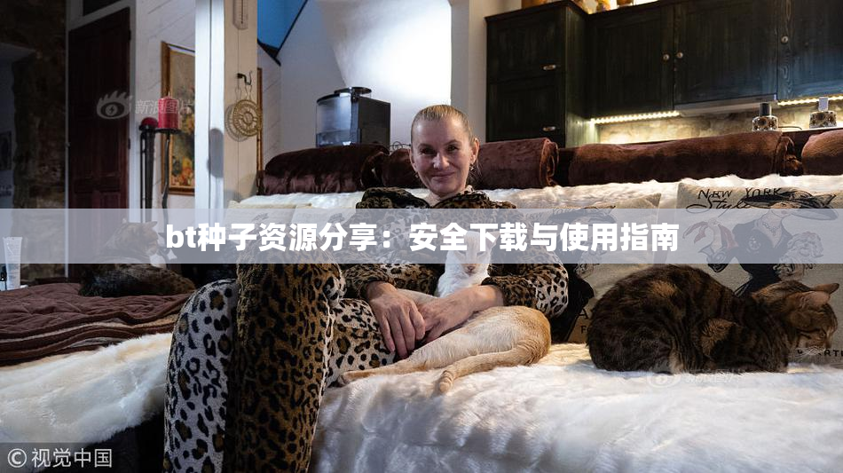 bt种子资源分享：安全下载与使用指南