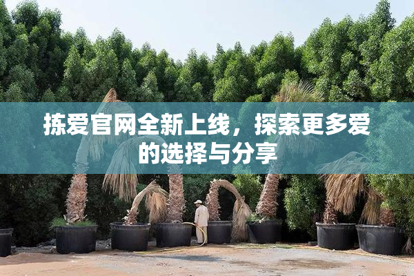 拣爱官网全新上线，探索更多爱的选择与分享