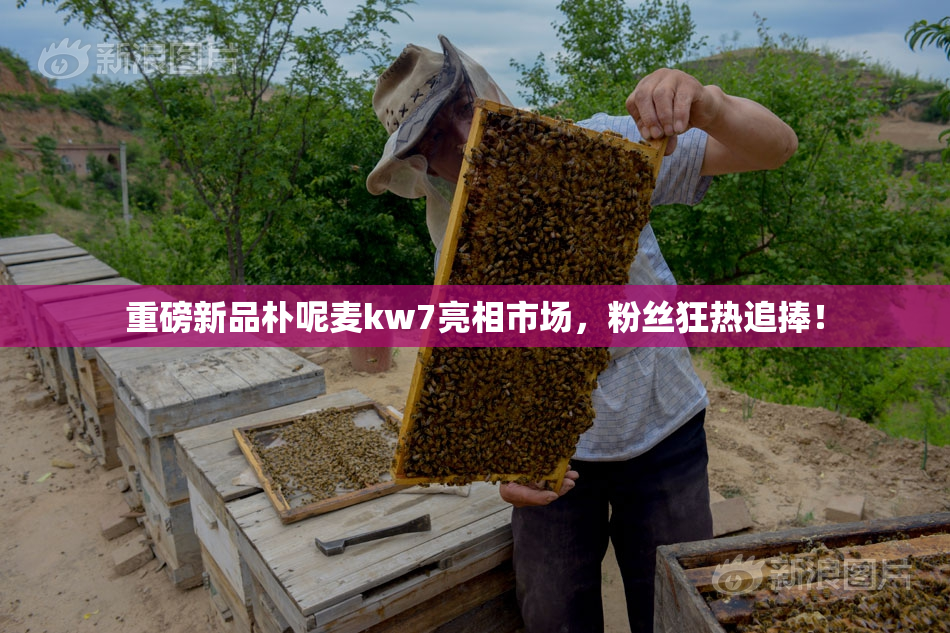 重磅新品朴呢麦kw7亮相市场，粉丝狂热追捧！