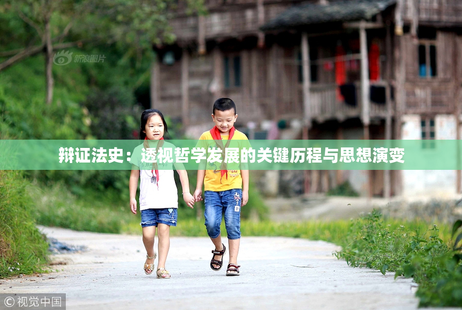 辩证法史：透视哲学发展的关键历程与思想演变