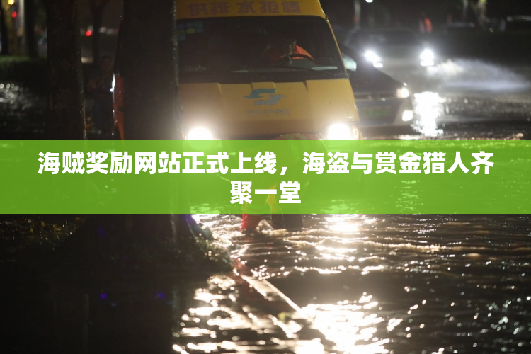 海贼奖励网站正式上线，海盗与赏金猎人齐聚一堂