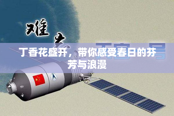 丁香花盛开，带你感受春日的芬芳与浪漫