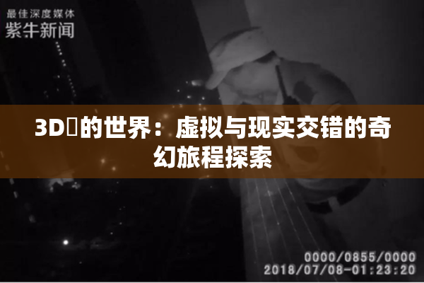 3D姉的世界：虚拟与现实交错的奇幻旅程探索