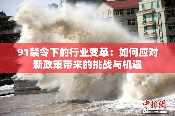 91禁令下的行业变革：如何应对新政策带来的挑战与机遇