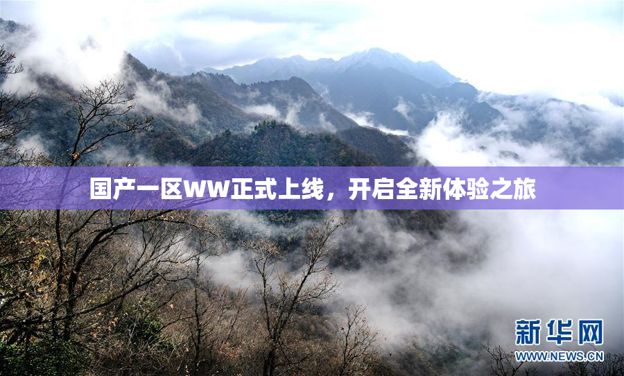 国产一区WW正式上线，开启全新体验之旅