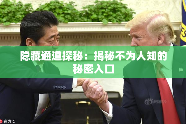 隐藏通道探秘：揭秘不为人知的秘密入口