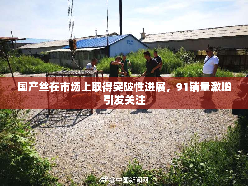 国产丝在市场上取得突破性进展，91销量激增引发关注