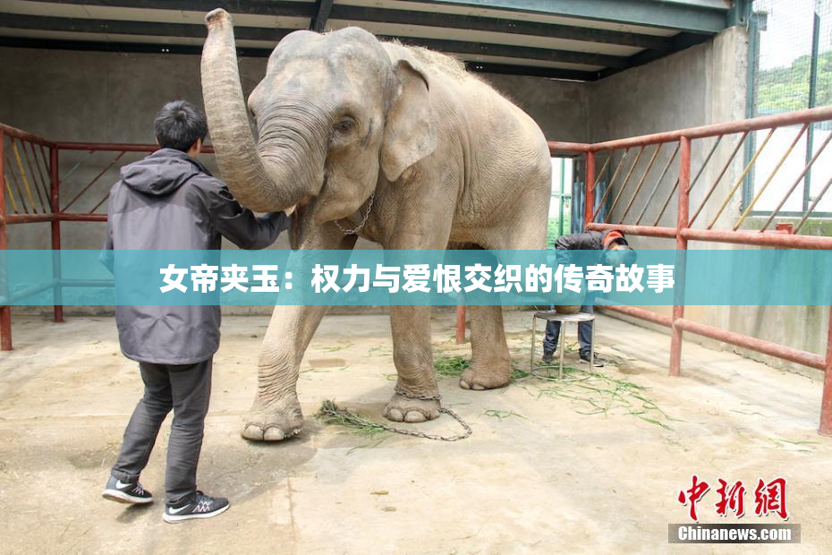 女帝夹玉：权力与爱恨交织的传奇故事