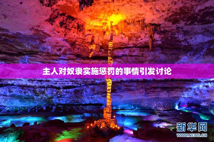 主人对奴隶实施惩罚的事情引发讨论