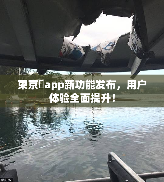 柬京埶app新功能发布，用户体验全面提升！