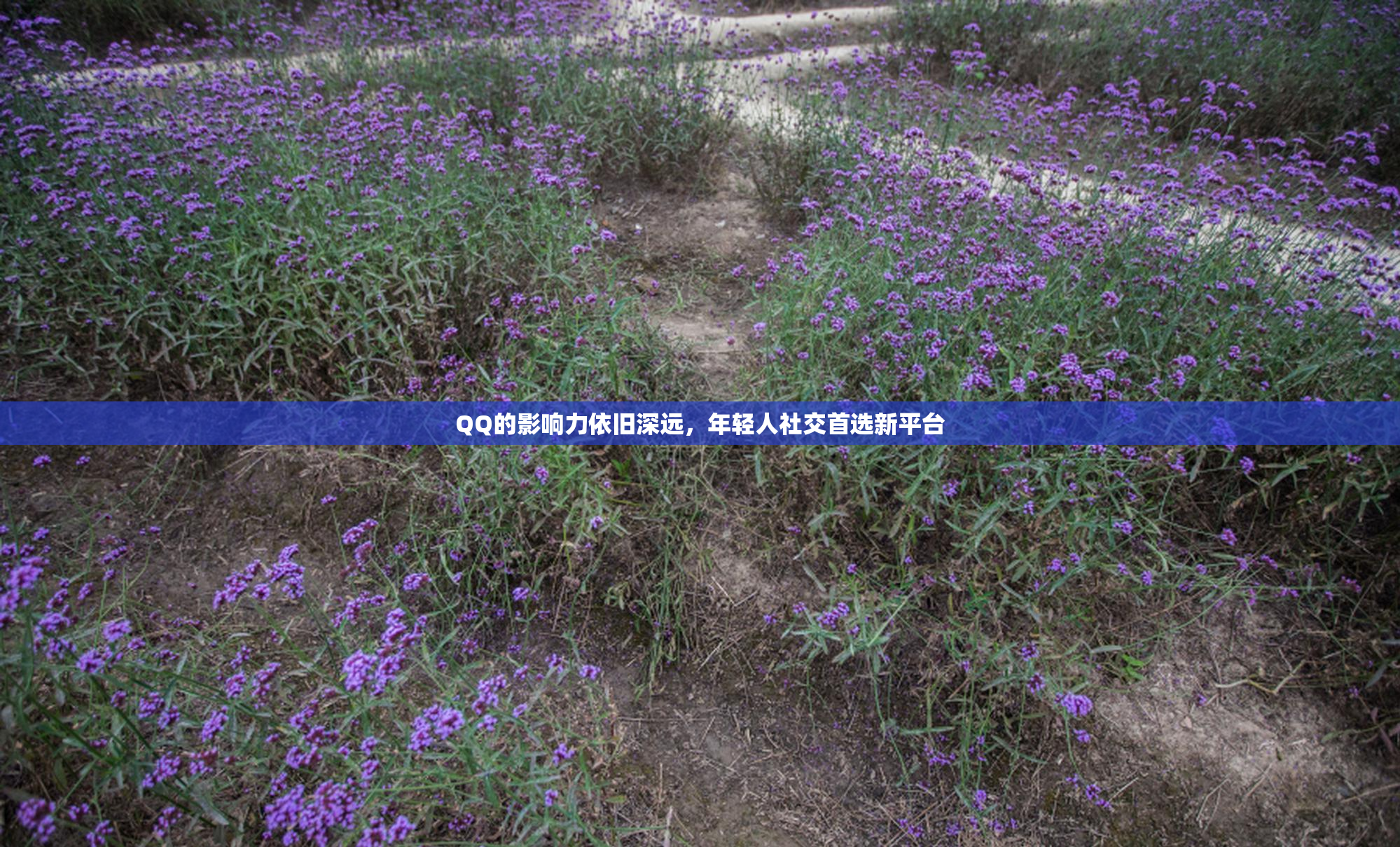 QQ的影响力依旧深远，年轻人社交首选新平台