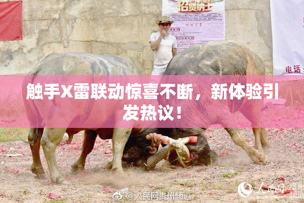 触手X雷联动惊喜不断，新体验引发热议！