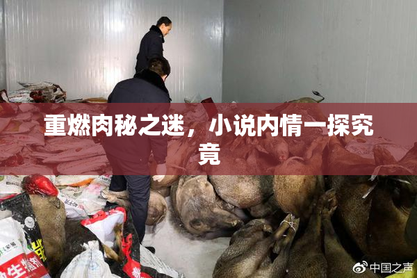 重燃肉秘之迷，小说内情一探究竟