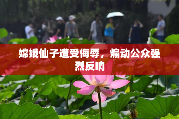 嫦娥仙子遭受侮辱，煽动公众强烈反响