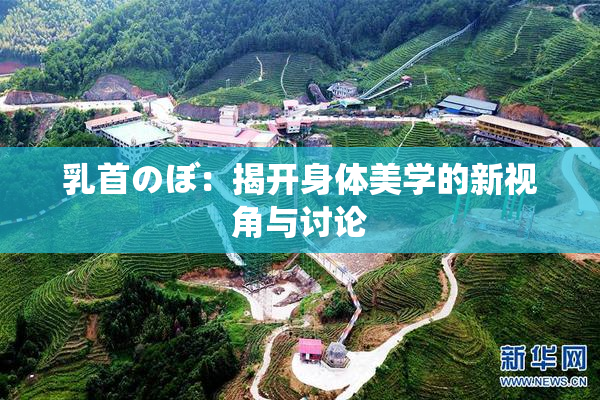 乳首のぼ：揭开身体美学的新视角与讨论