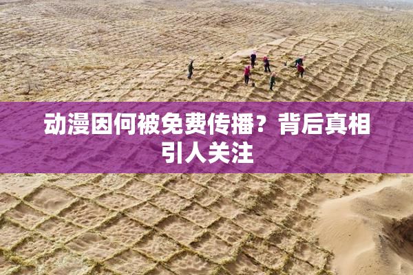 动漫因何被免费传播？背后真相引人关注