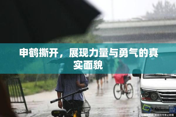 申鹤撕开，展现力量与勇气的真实面貌