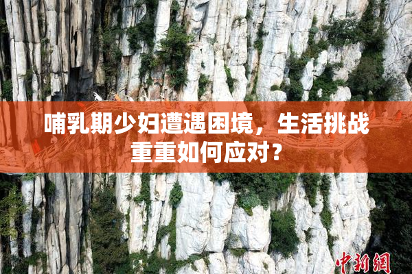 哺乳期少妇遭遇困境，生活挑战重重如何应对？