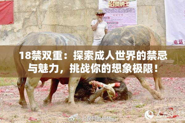 18禁双重：探索成人世界的禁忌与魅力，挑战你的想象极限！