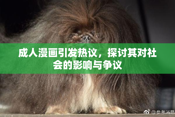成人漫画引发热议，探讨其对社会的影响与争议