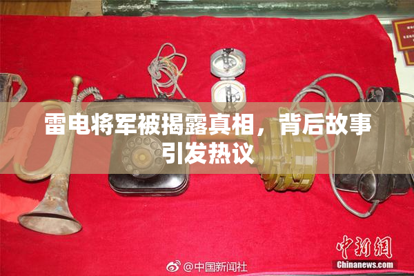 雷电将军被揭露真相，背后故事引发热议