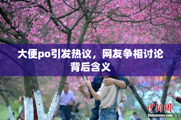 大便po引发热议，网友争相讨论背后含义