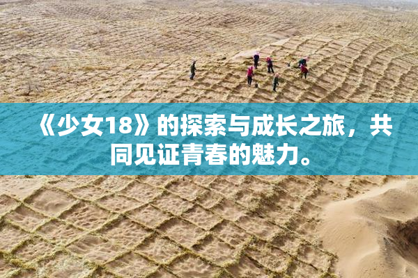 《少女18》的探索与成长之旅，共同见证青春的魅力。