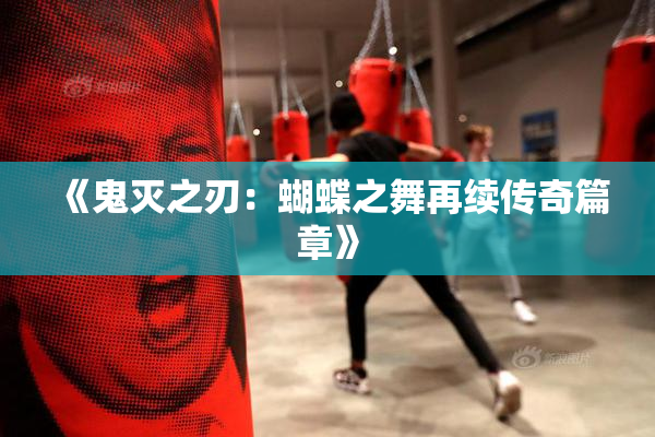 《鬼灭之刃：蝴蝶之舞再续传奇篇章》