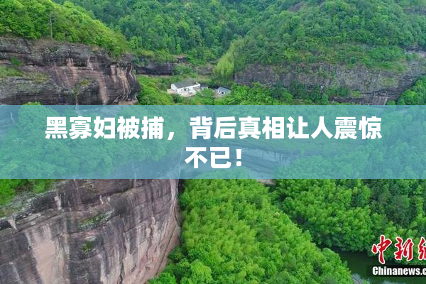 黑寡妇被捕，背后真相让人震惊不已！