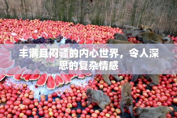 丰满且闷骚的内心世界，令人深思的复杂情感