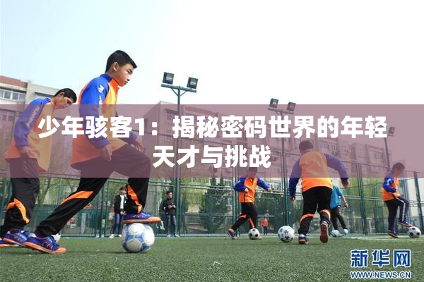 少年骇客1：揭秘密码世界的年轻天才与挑战