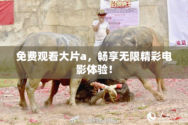 免费观看大片a，畅享无限精彩电影体验！