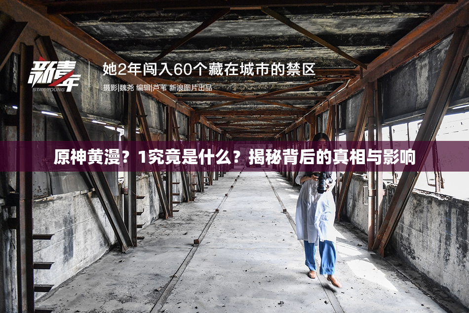 原神黄漫？1究竟是什么？揭秘背后的真相与影响
