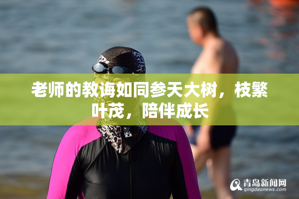 老师的教诲如同参天大树，枝繁叶茂，陪伴成长