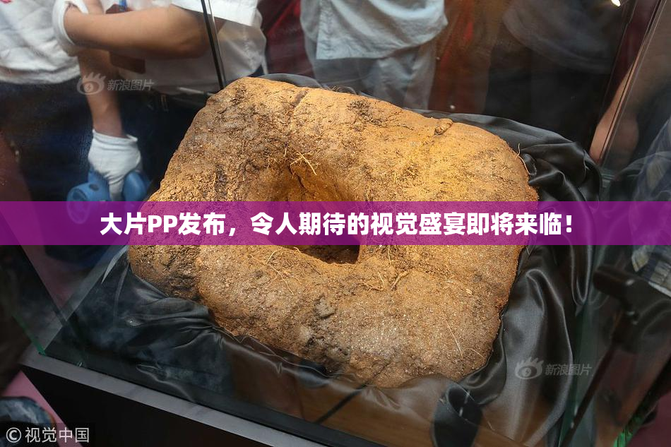 大片PP发布，令人期待的视觉盛宴即将来临！