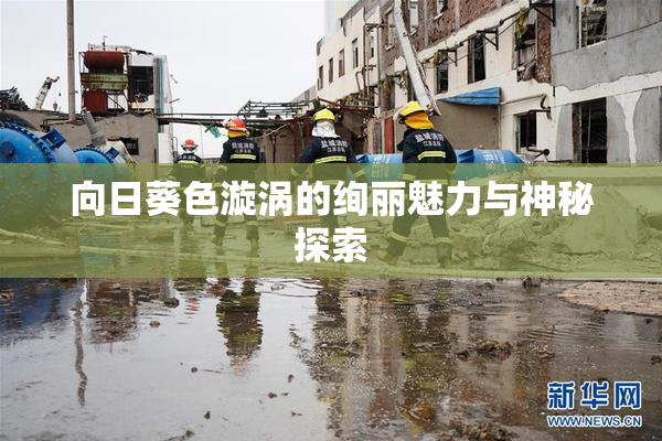 向日葵色漩涡的绚丽魅力与神秘探索