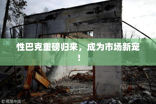 性巴克重磅归来，成为市场新宠！