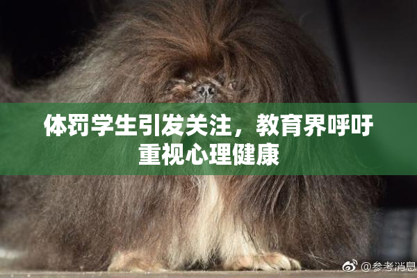体罚学生引发关注，教育界呼吁重视心理健康