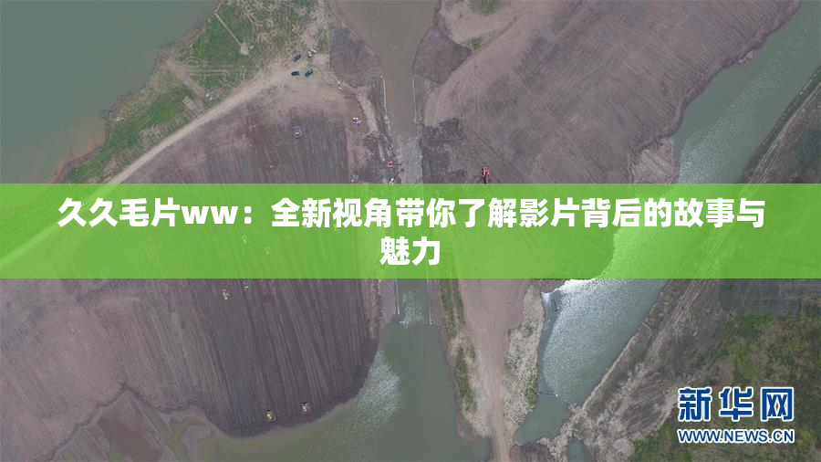 久久毛片ww：全新视角带你了解影片背后的故事与魅力