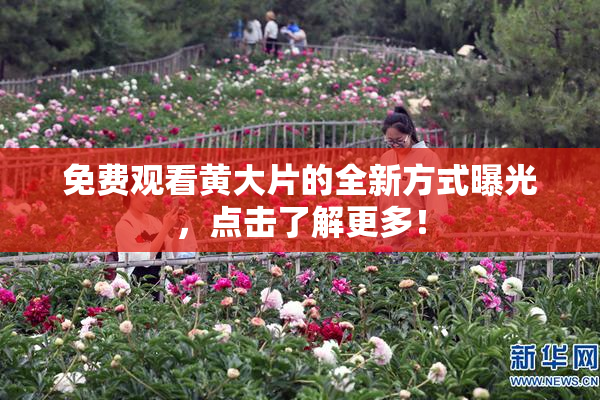 免费观看黄大片的全新方式曝光，点击了解更多！