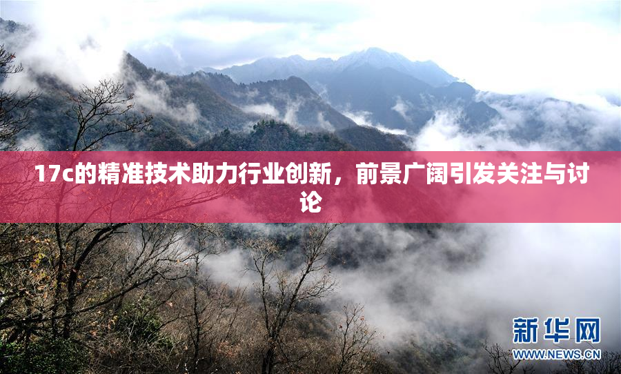 17c的精准技术助力行业创新，前景广阔引发关注与讨论